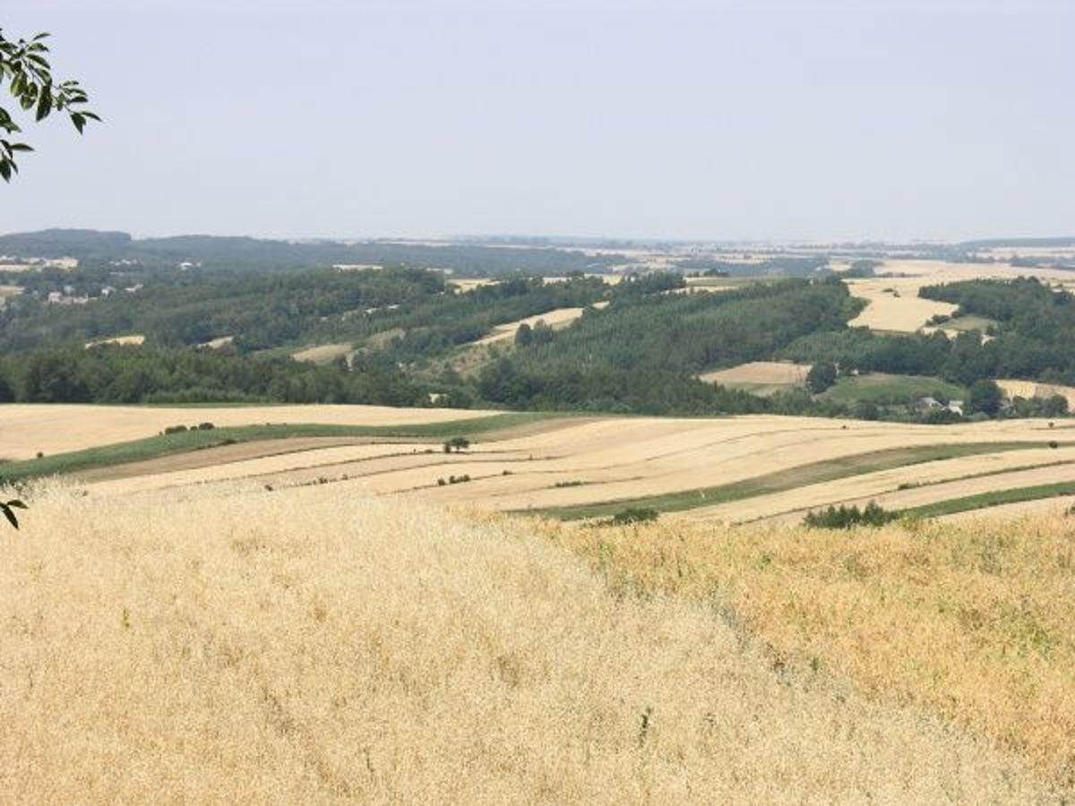 dworek, hotel na wesele